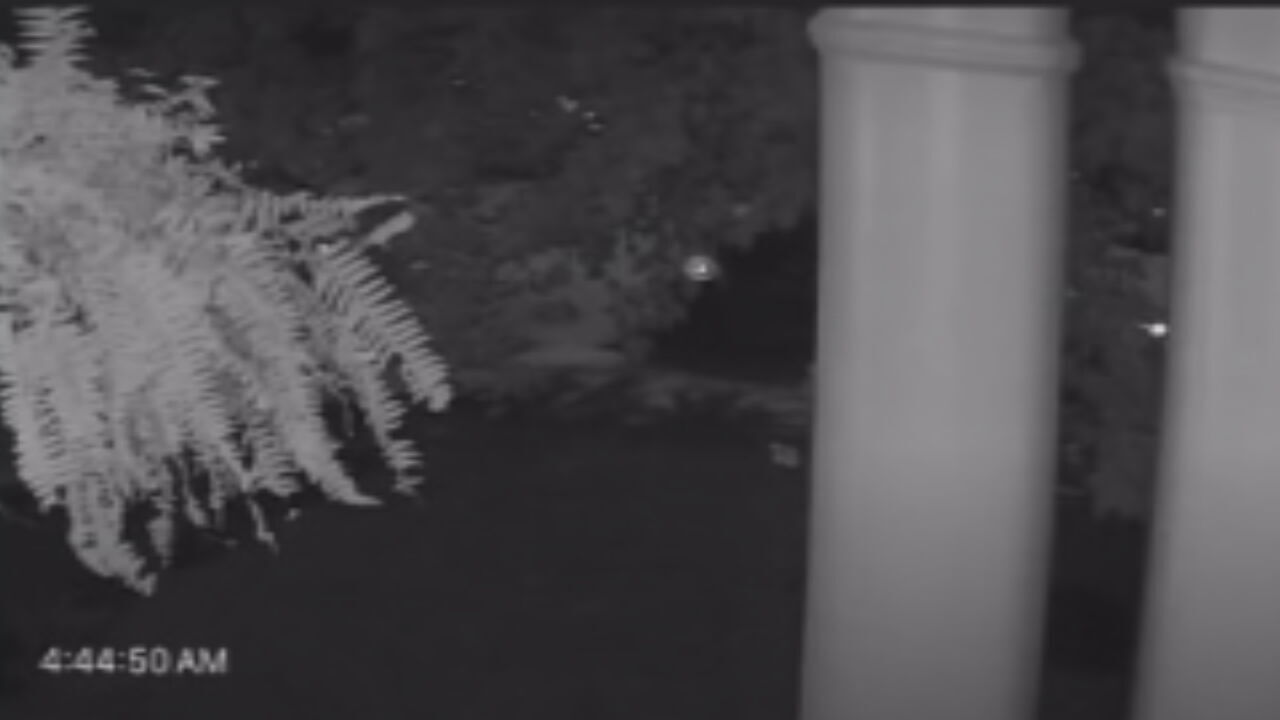 Andy Westberry stolen vehicle surveillance footage